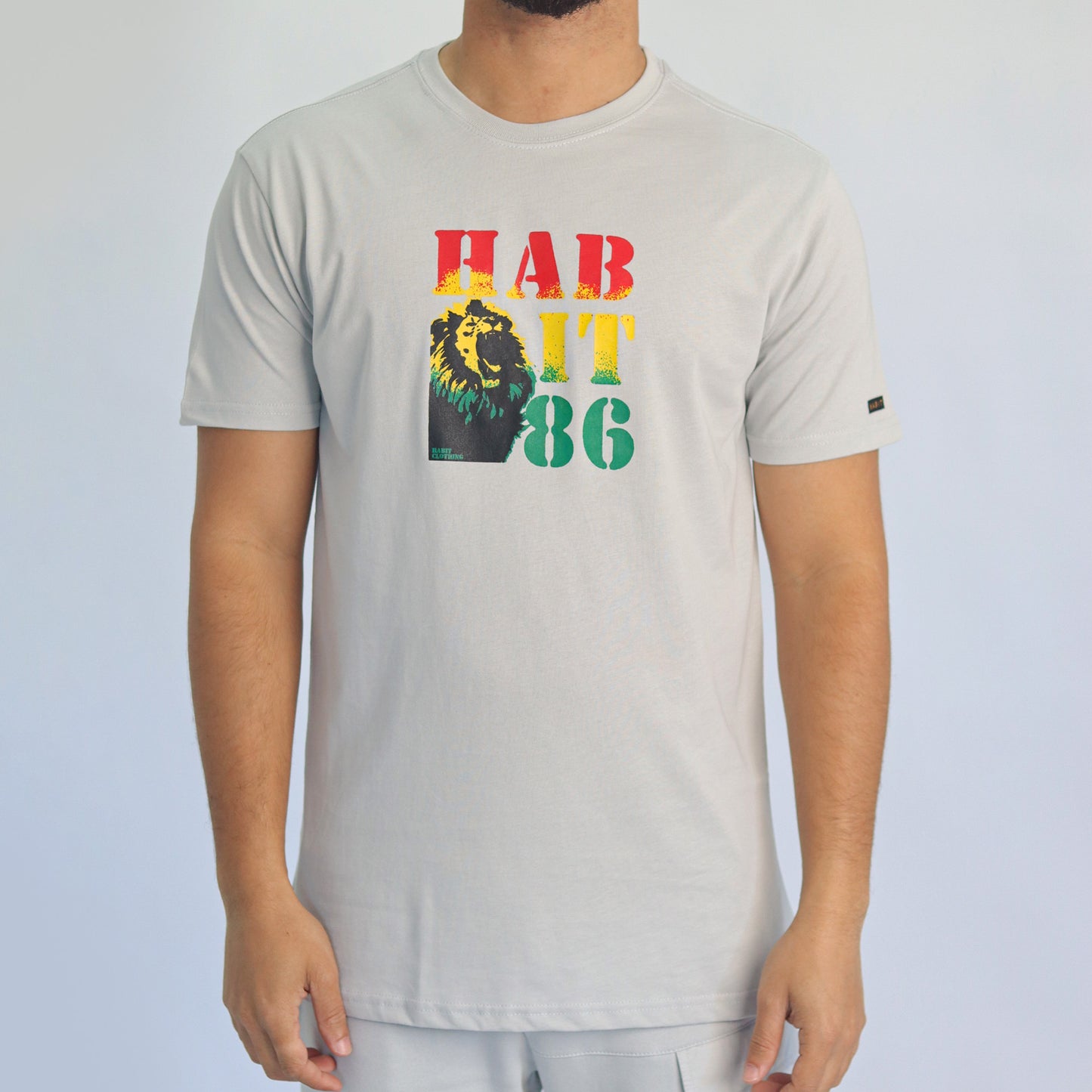 Men T-shirt gray
