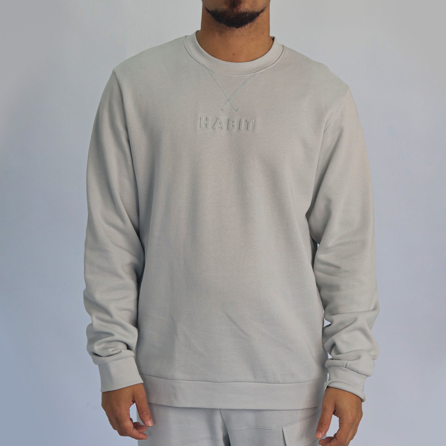 Men sweatshirt gray