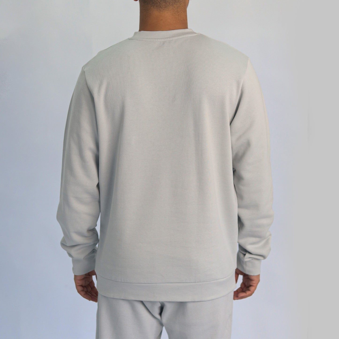 Men sweatshirt gray