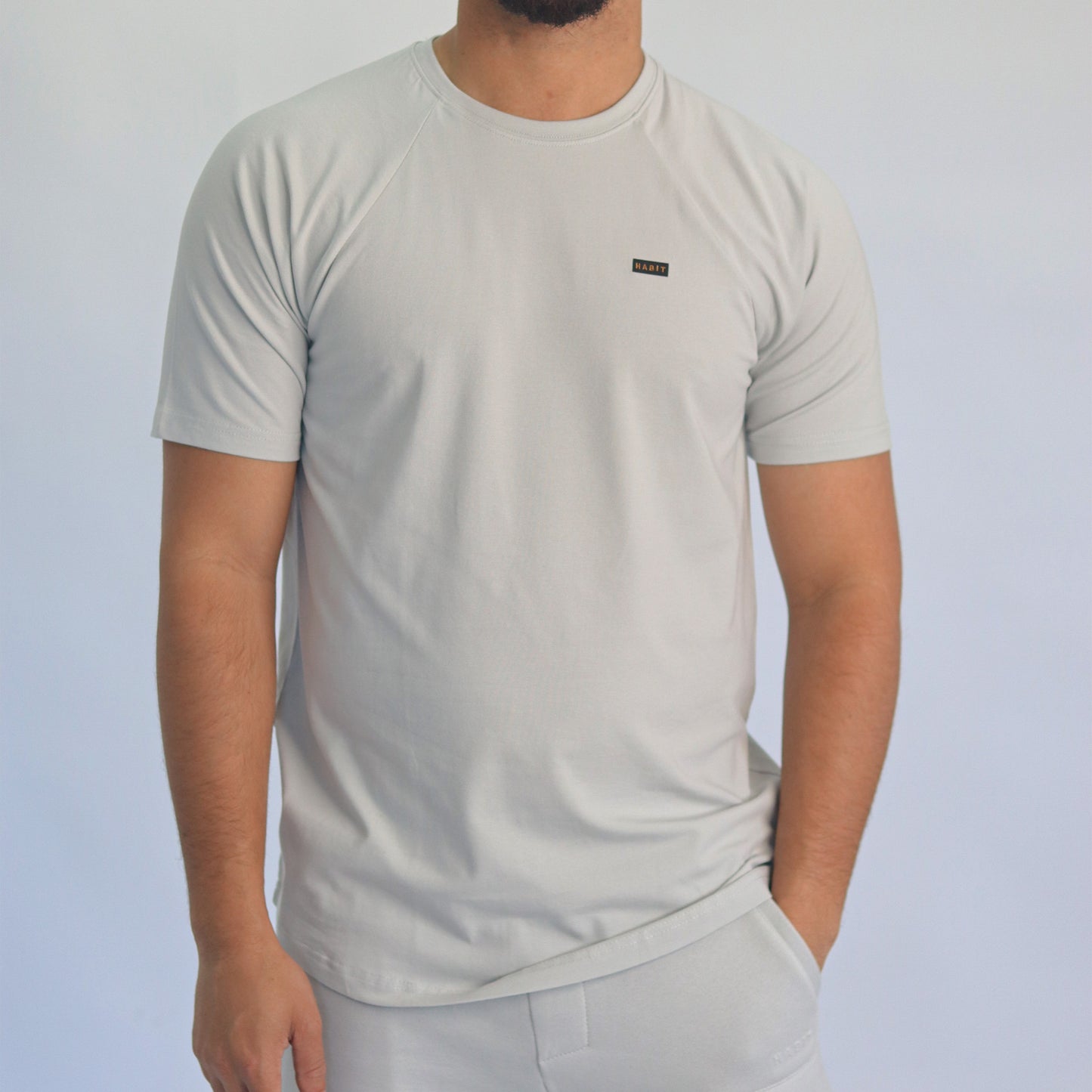 Men T-shirt raglan gray