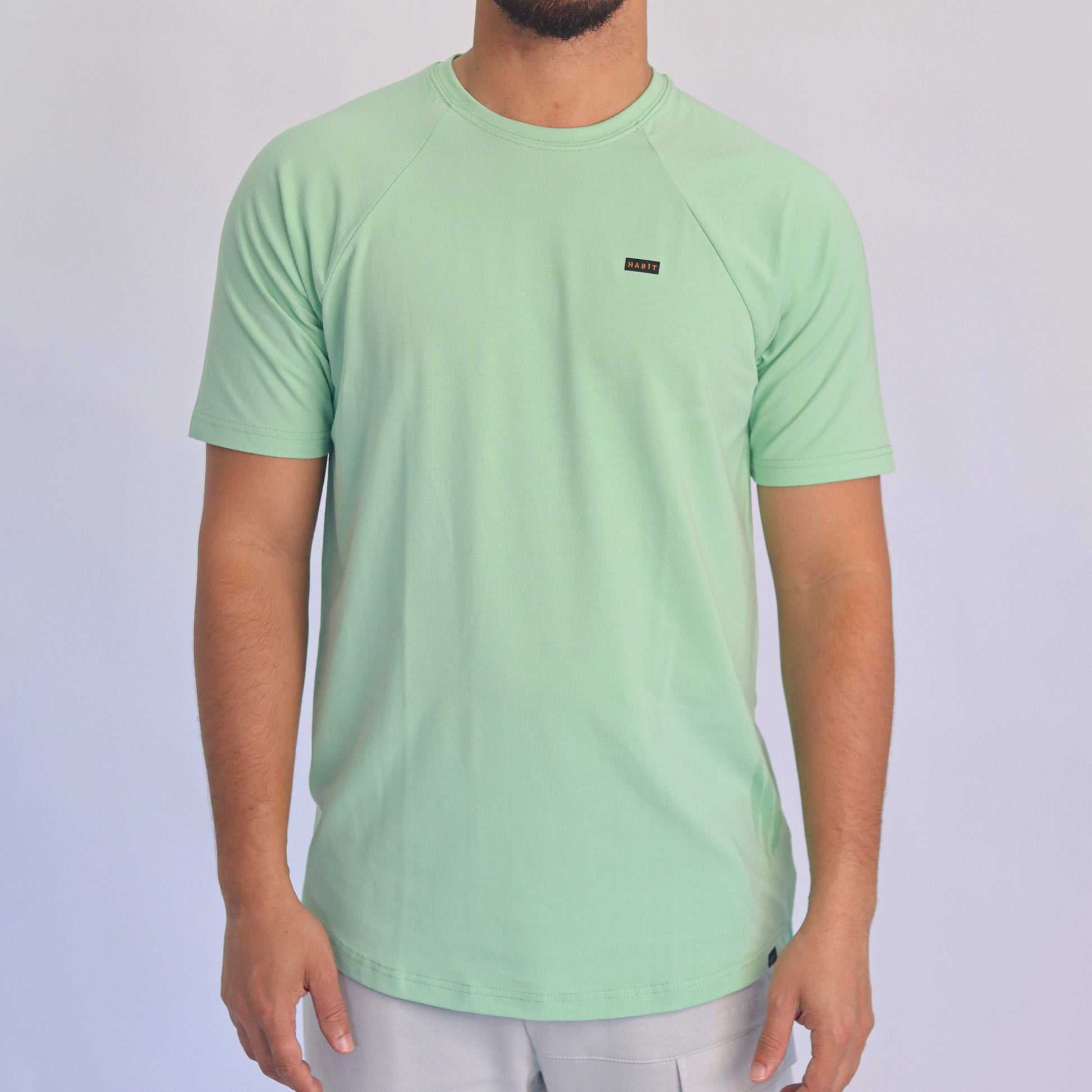 Men T-shirt raglan green
