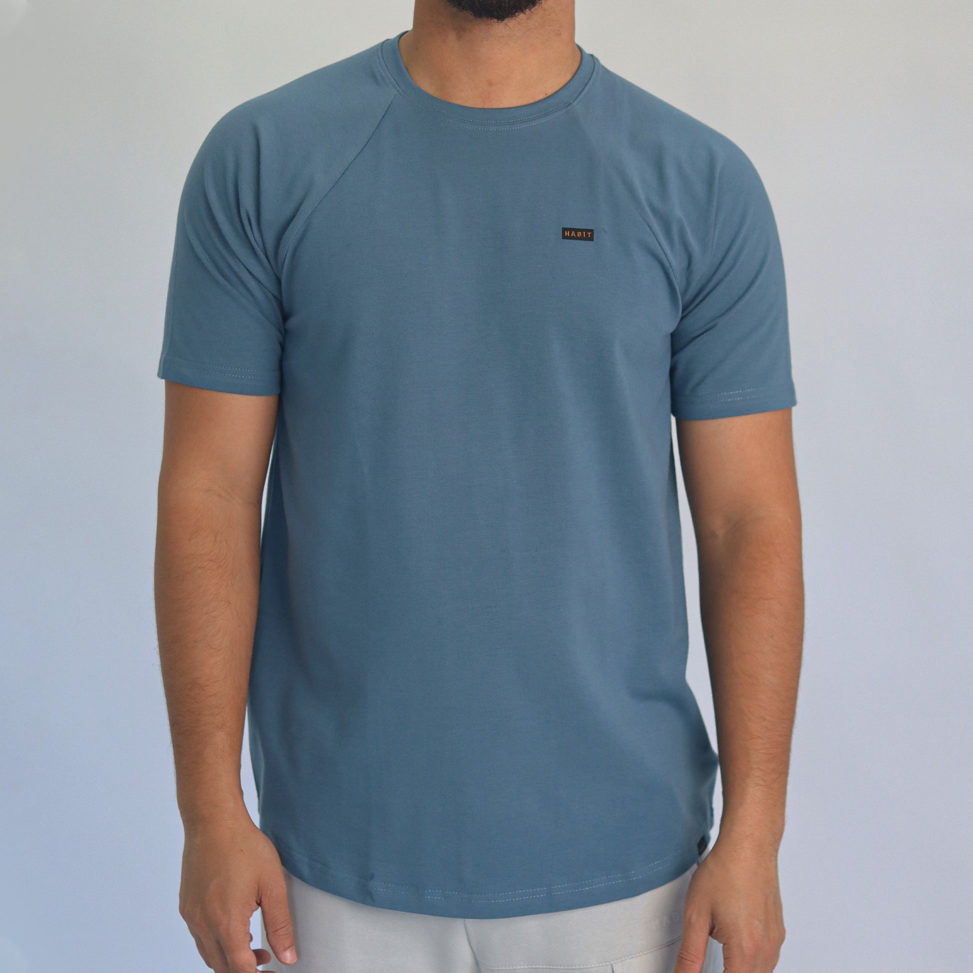 Men T-shirt raglan blue