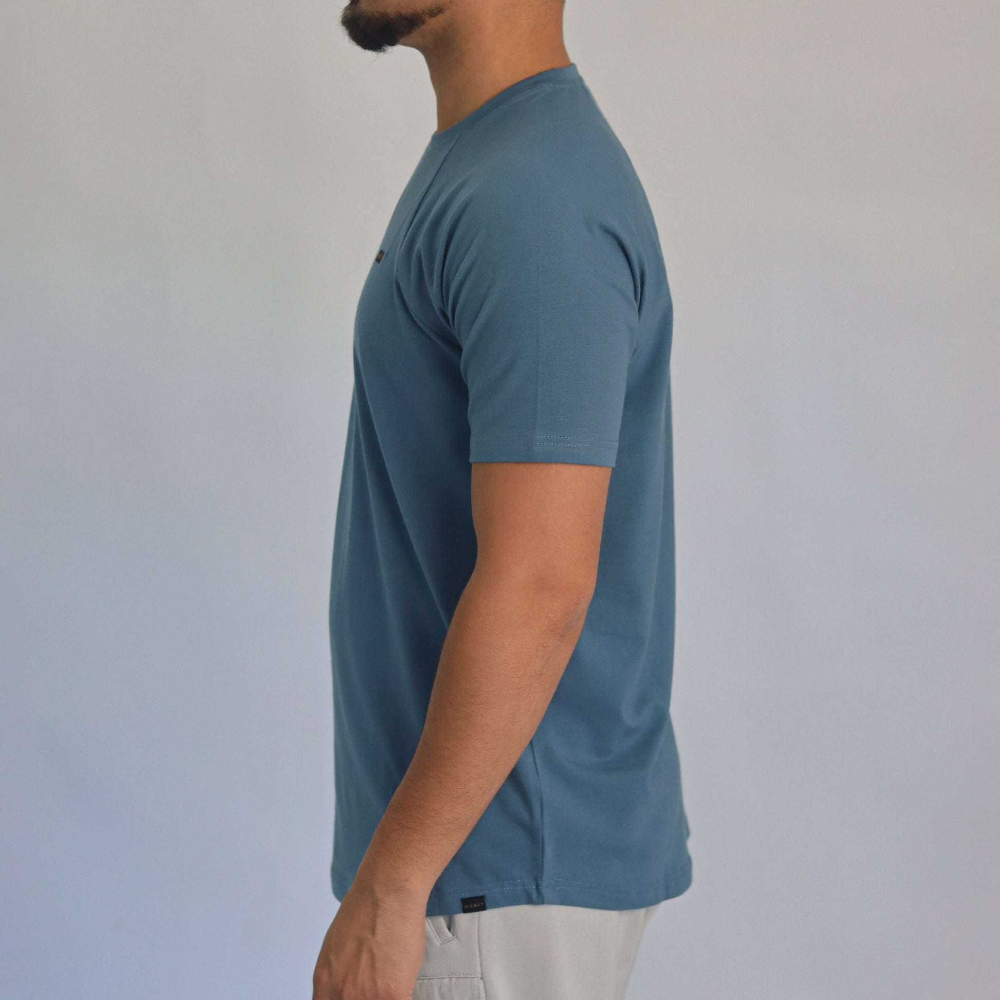 Men T-shirt raglan blue