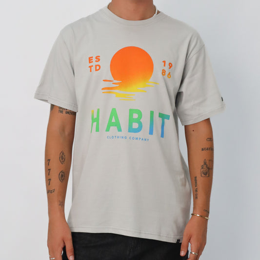 Men Basic t-shirt Grey